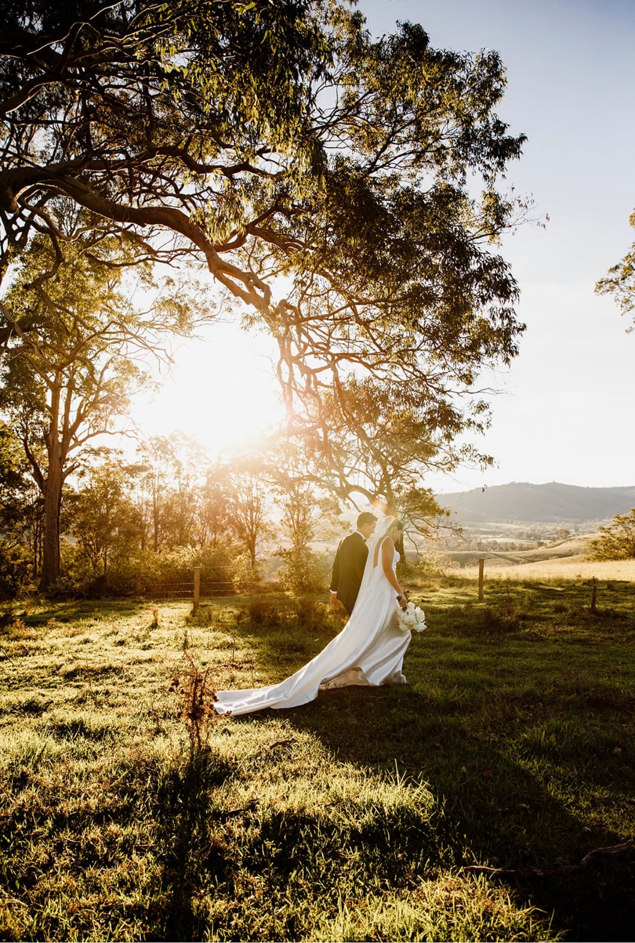 Peach urn editorial